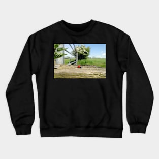 Life in Miniature Crewneck Sweatshirt